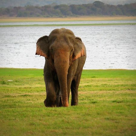 Mahoora Tented Safari Camp Удавалаве Екстериор снимка
