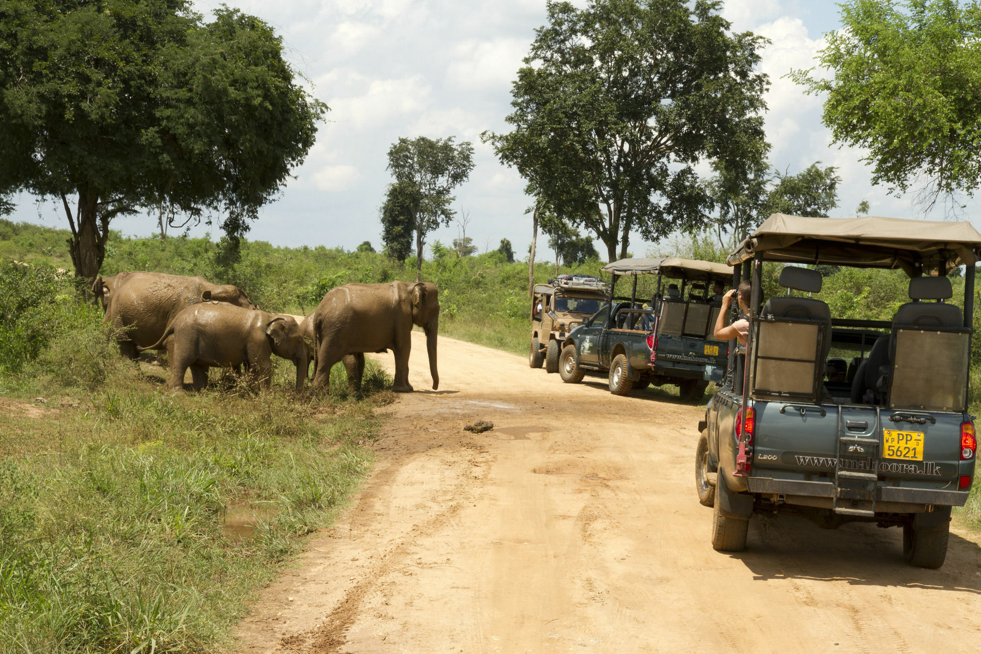 Mahoora Tented Safari Camp Удавалаве Екстериор снимка