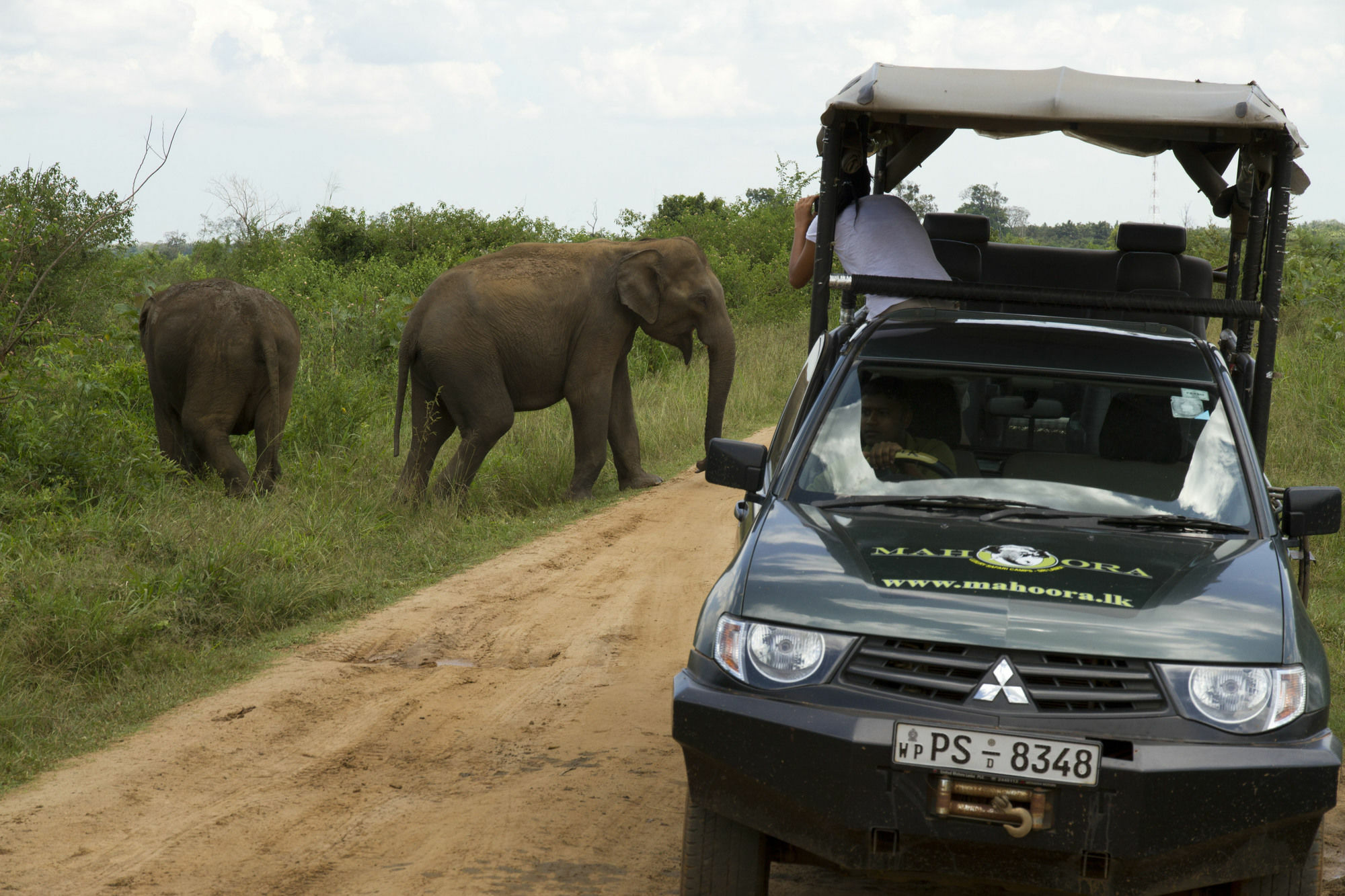 Mahoora Tented Safari Camp Удавалаве Екстериор снимка