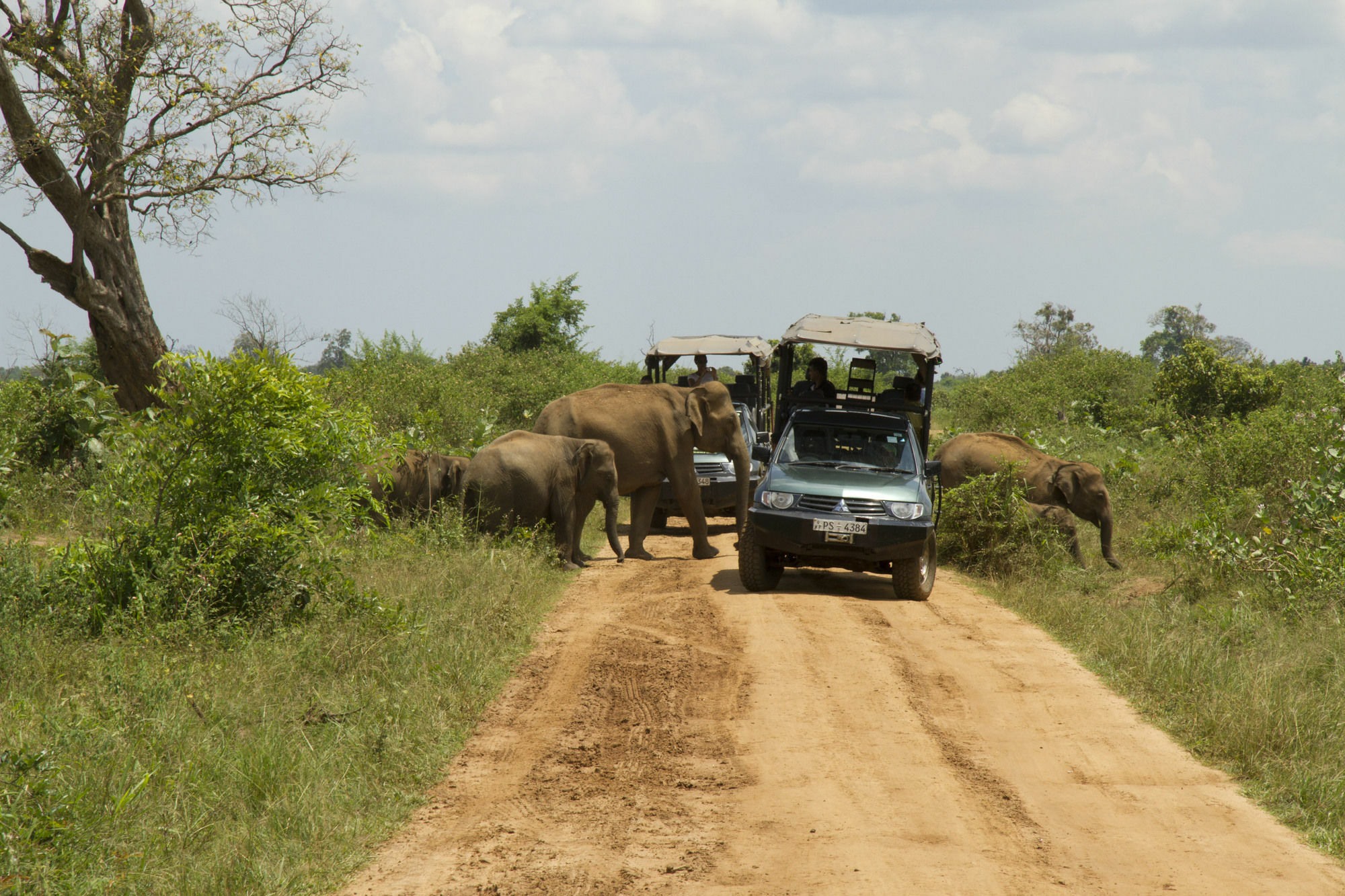 Mahoora Tented Safari Camp Удавалаве Екстериор снимка
