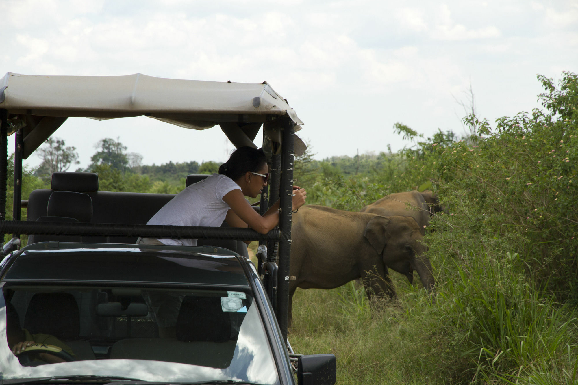 Mahoora Tented Safari Camp Удавалаве Екстериор снимка