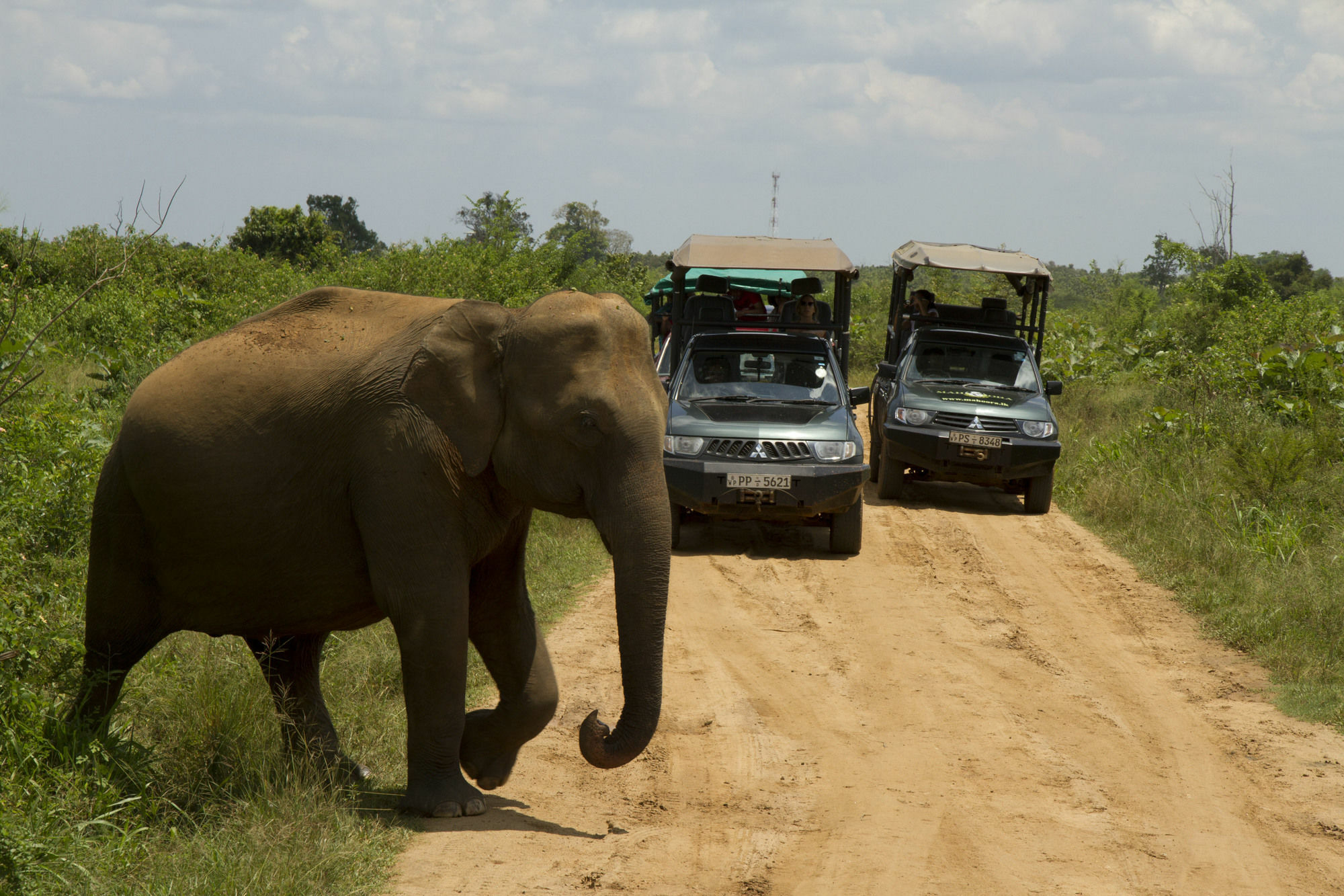 Mahoora Tented Safari Camp Удавалаве Екстериор снимка