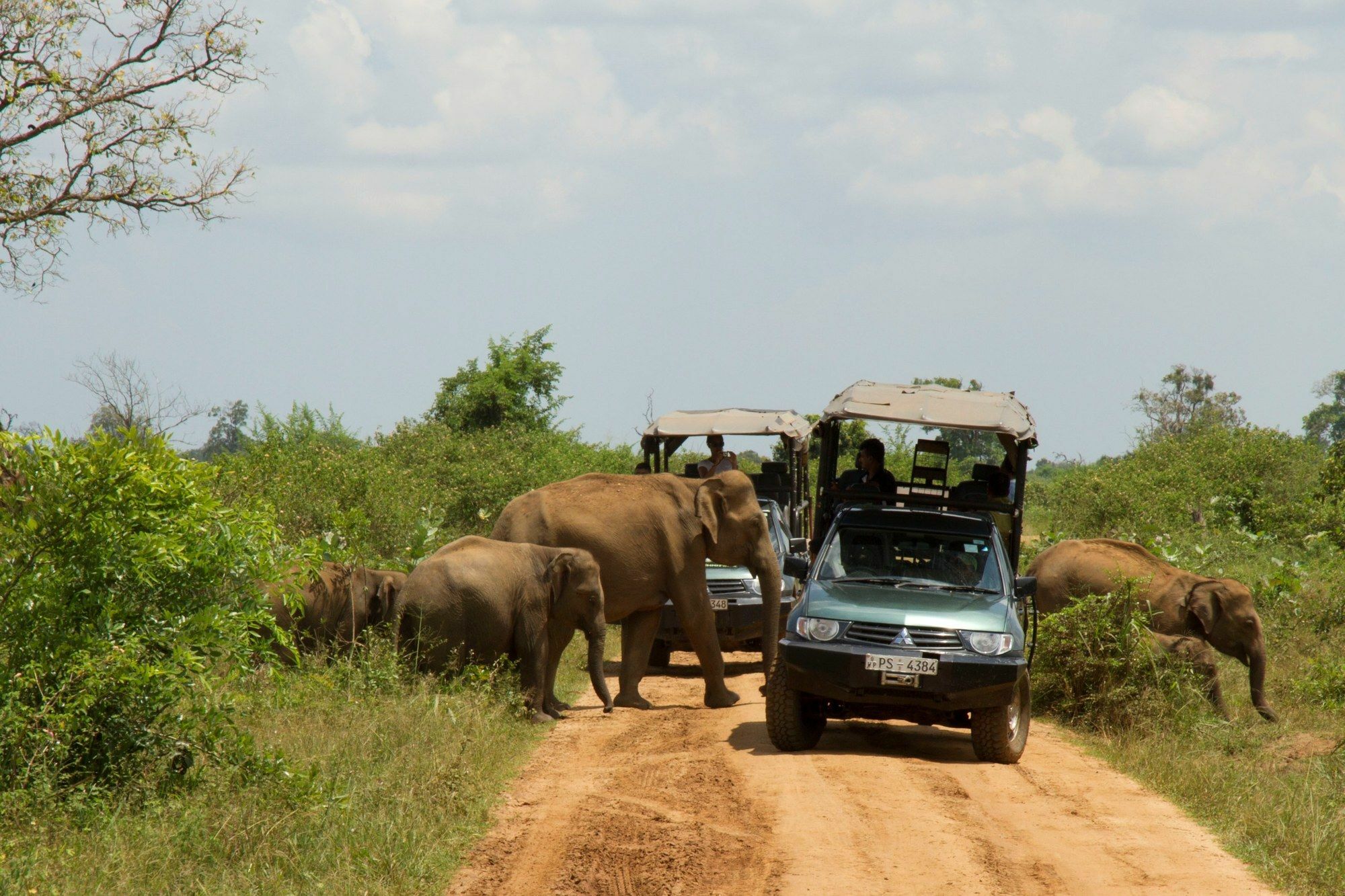 Mahoora Tented Safari Camp Удавалаве Екстериор снимка