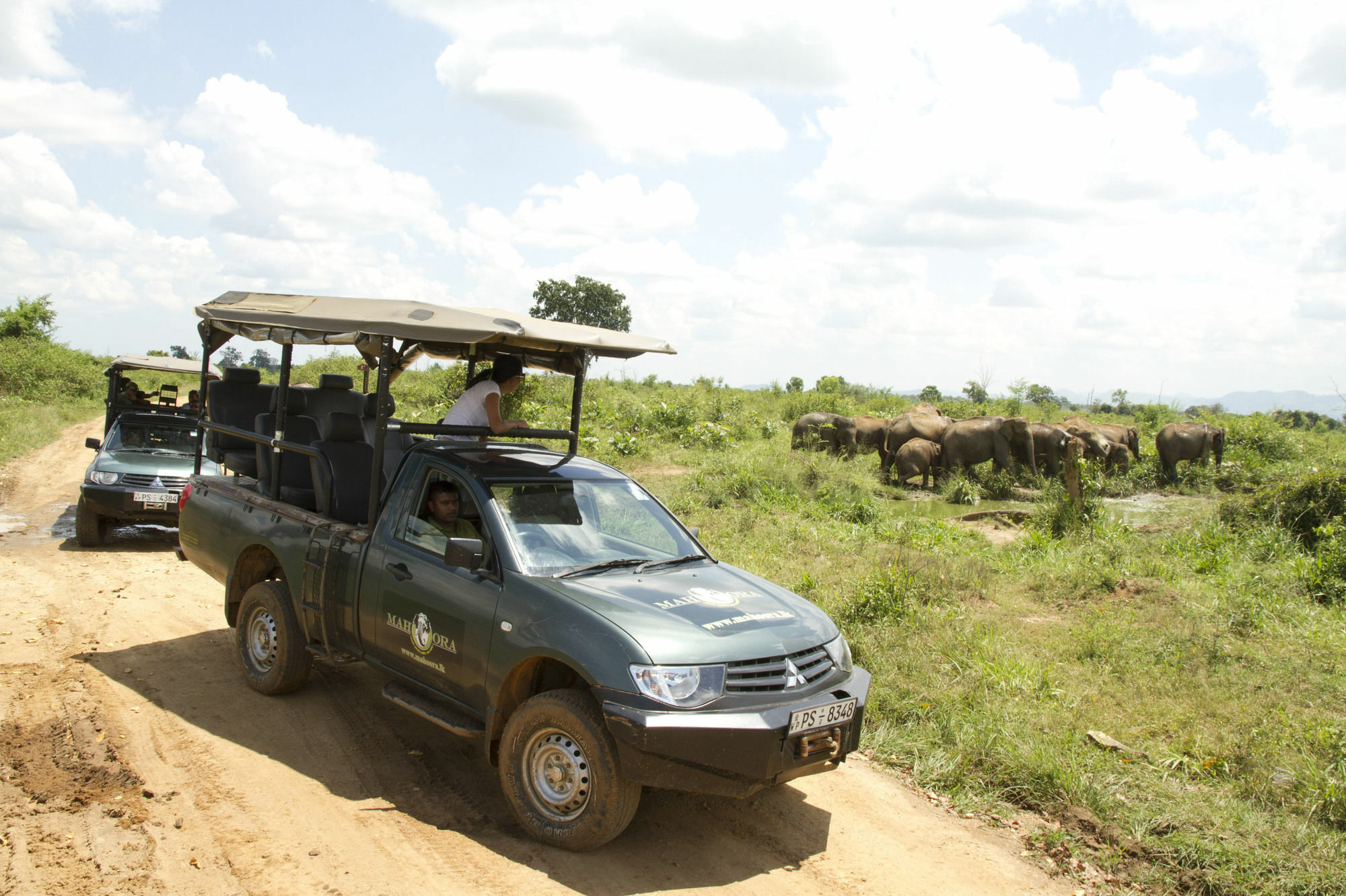 Mahoora Tented Safari Camp Удавалаве Екстериор снимка